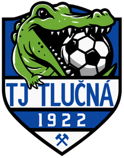 Logo TJ Tlučná