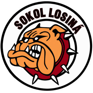 Logo TJ Sokol Losiná