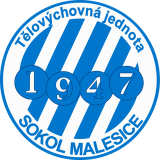 Logo TJ Sokol Malesice