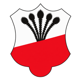 Logo TJ Sokol Merklín