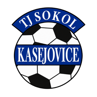 Logo TJ Sokol Kasejovice
